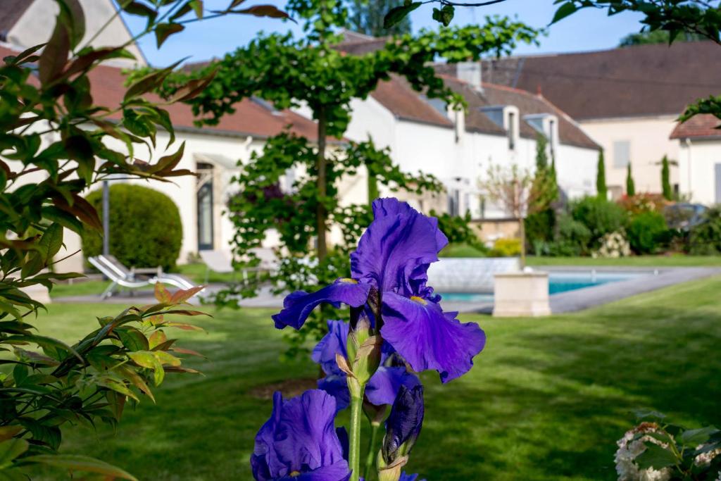 Gallery image of Le Clos de l'Aigue in Beaune