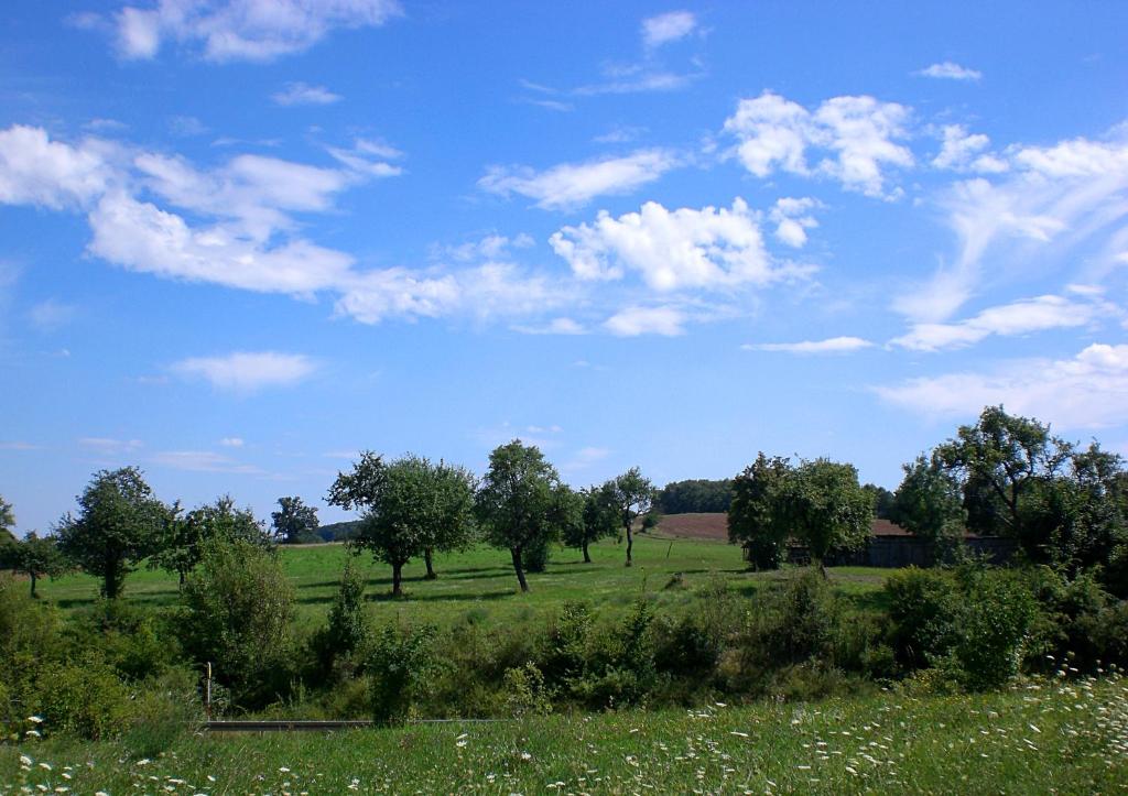 Příroda nedaleko hotelu