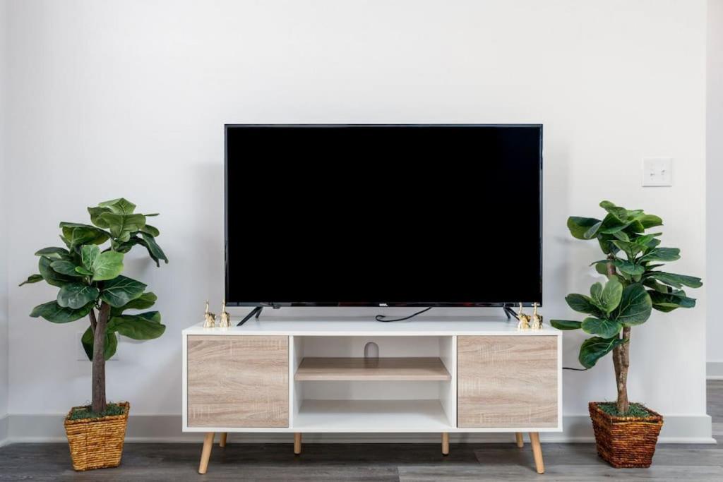 a television on a white entertainment center with two plants at Affordable Private Room in Whitestown