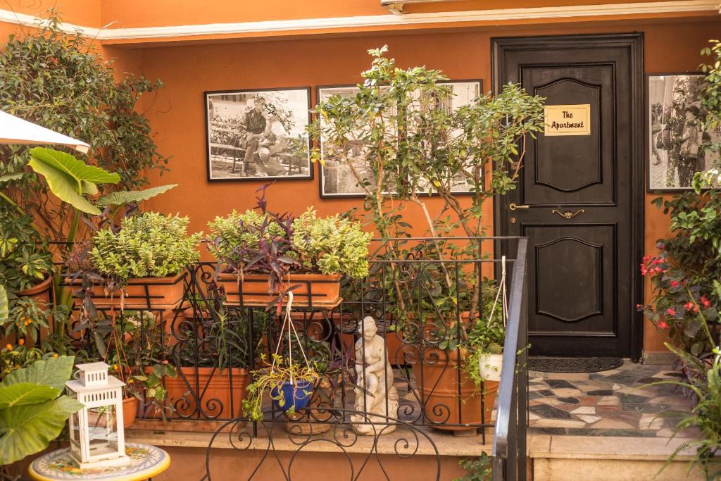 A garden outside Hotel Modigliani
