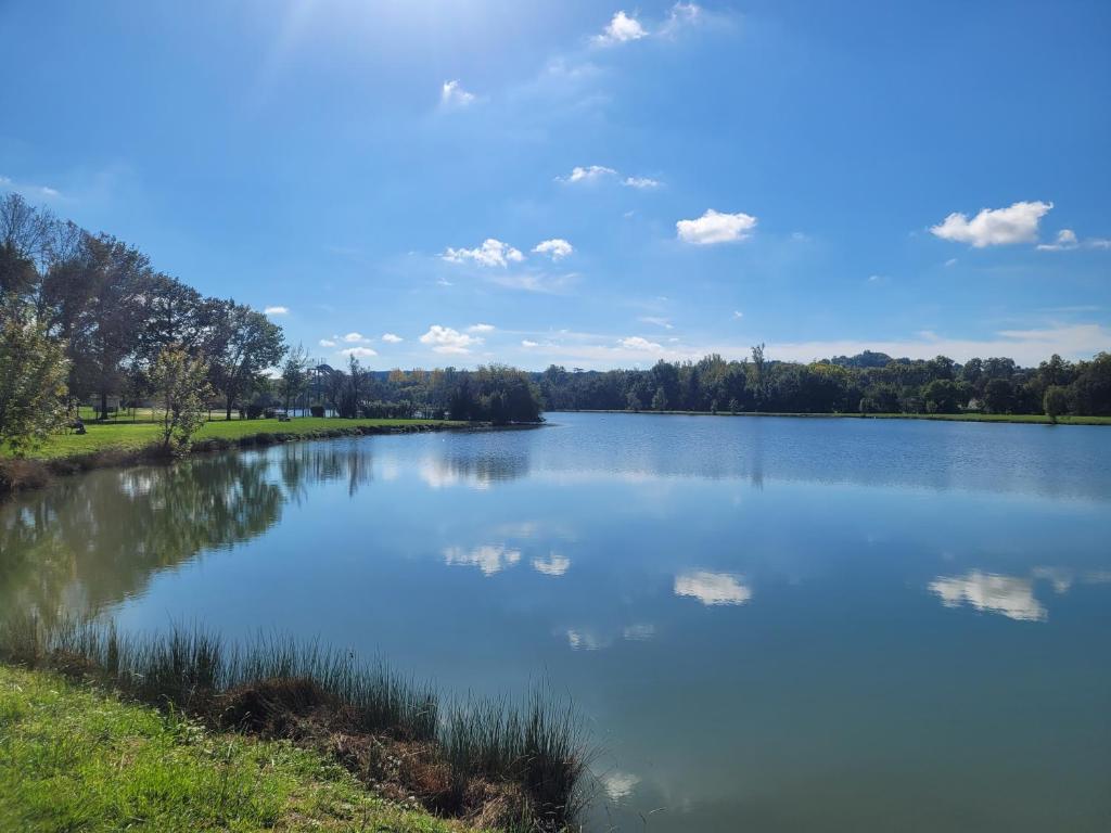 a view of a large lake in a park at Lake Villa Castéra-Verduzan in Castéra-Verduzan