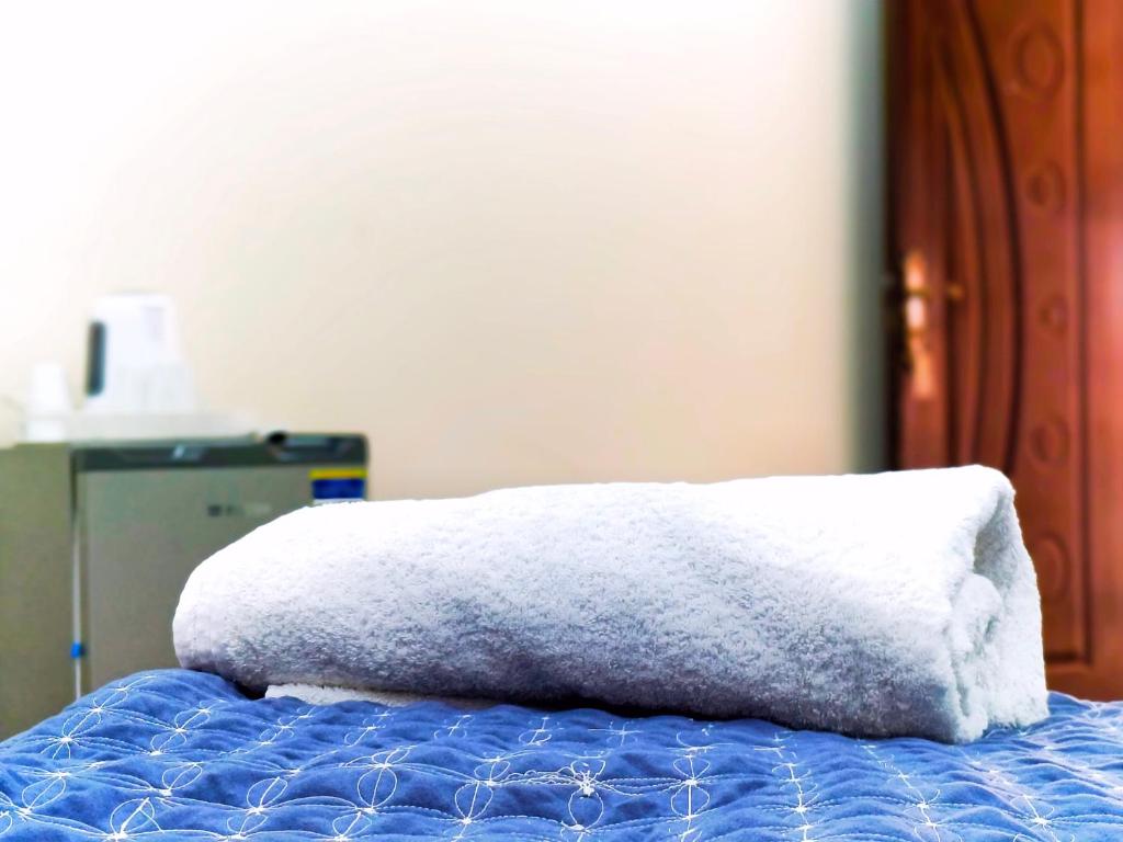 KING ALI Pyramids View Inn - 16