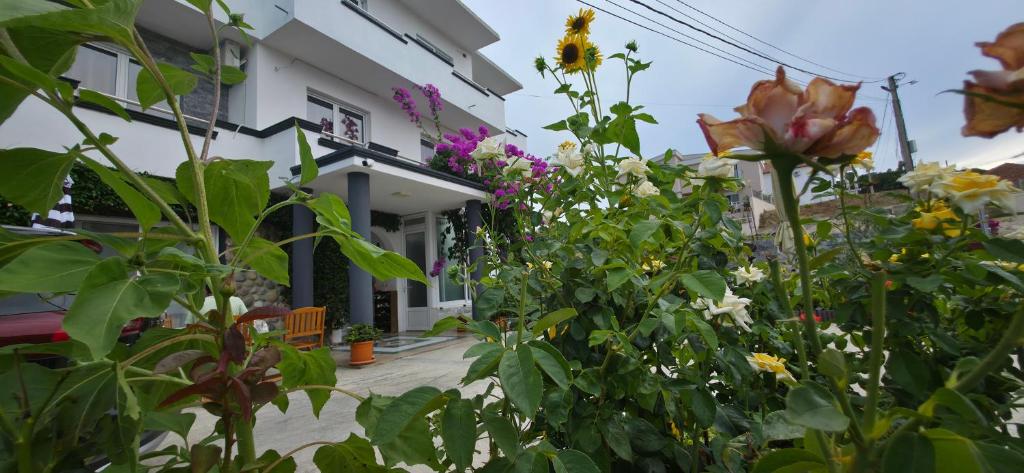 Zahrada ubytování Villa Grafenberg Ulcinj