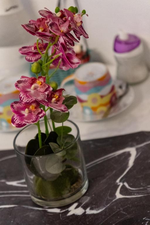 Guest House Mačić - 17