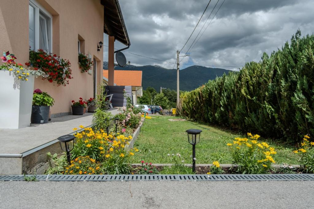 Guest House Mačić - 8