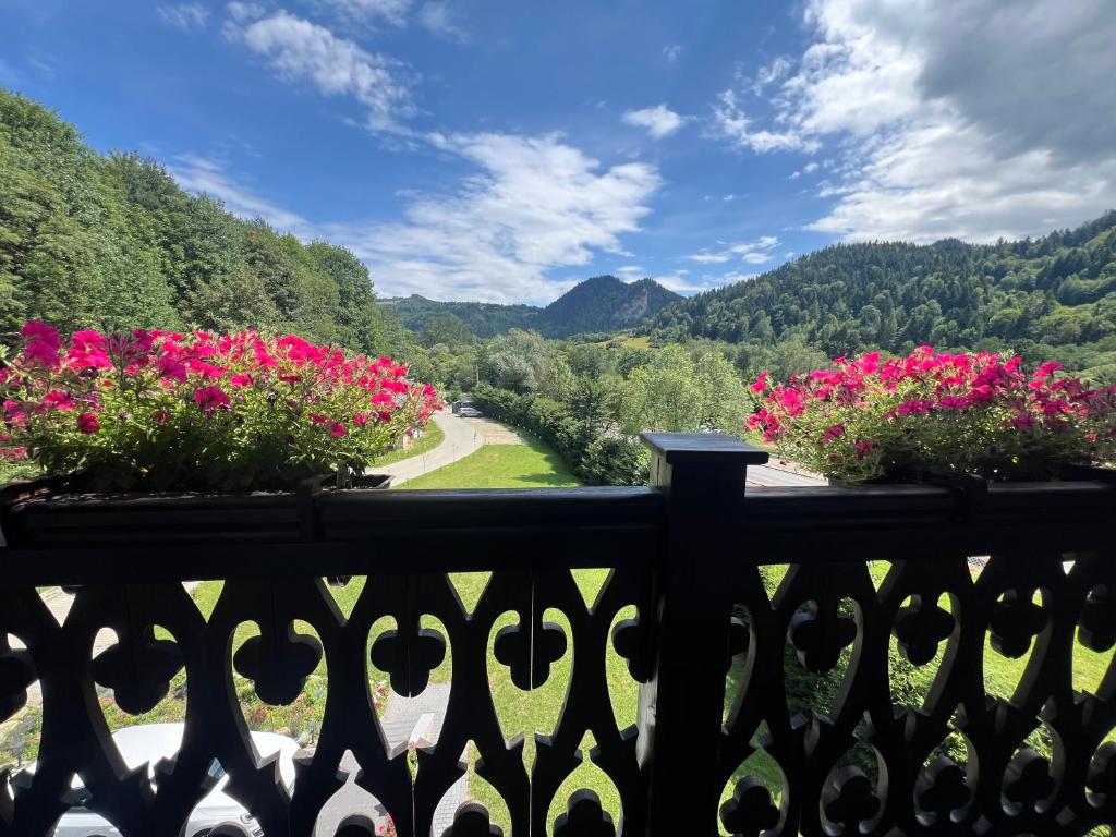 Willa FOLK Pieniny - 2