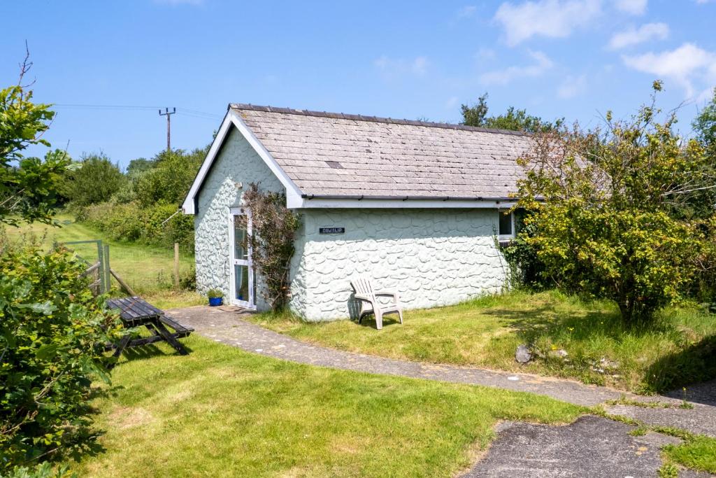 アベルポルスにあるCowslip at Gorslwyd - Sound Retreatの庭にベンチがある小さな白いコテージ