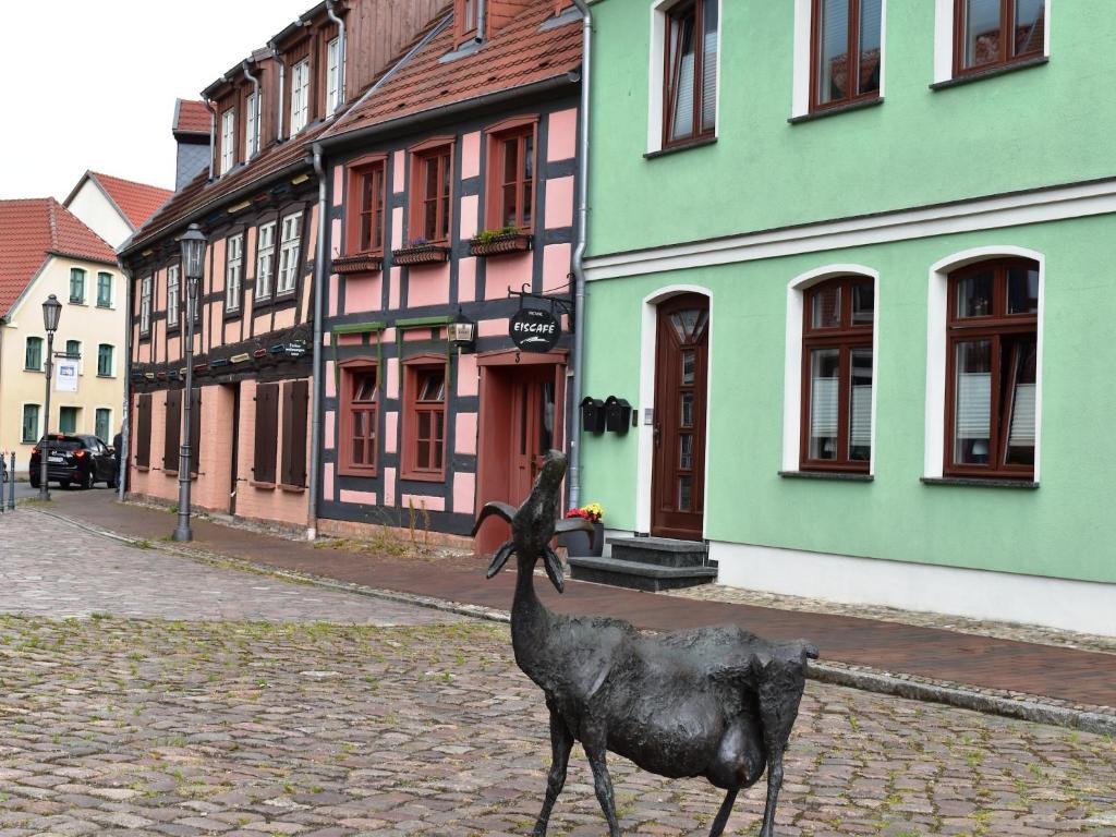 Zvířata v apartmánu nebo okolí