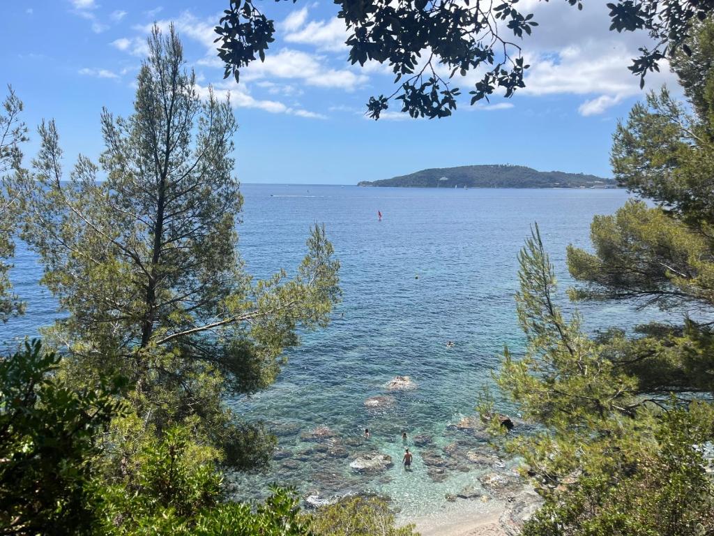 - une vue sur une étendue d'eau arborée dans l'établissement Soleil et serenite au Cap Brun Toulon, à Toulon