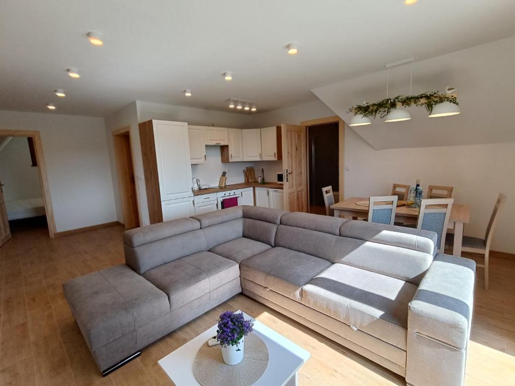 un soggiorno con divano e cucina di Apartament Kwiat Paproci a Gliczarów Górny