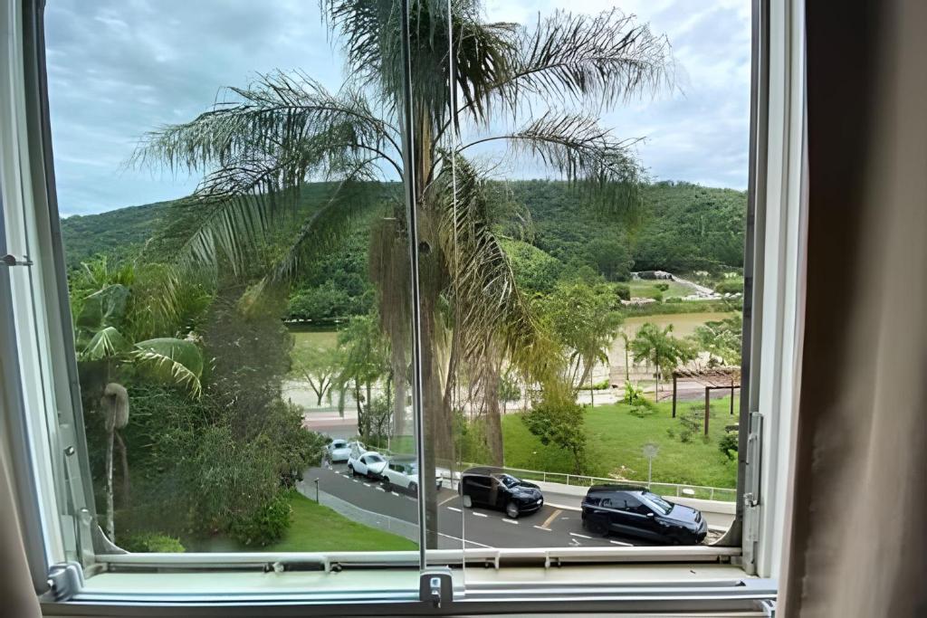 a view of a palm tree from a window at BELO flat Cavalinho Branco-Aguas de Lindóia in Águas de Lindóia