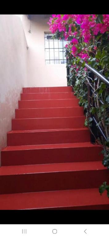 Alojamiento temporario 2