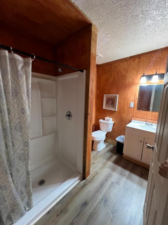a bathroom with a shower and a toilet and a sink at Redwood Cabin Yellow Rose Canyon in Mount Enterprise