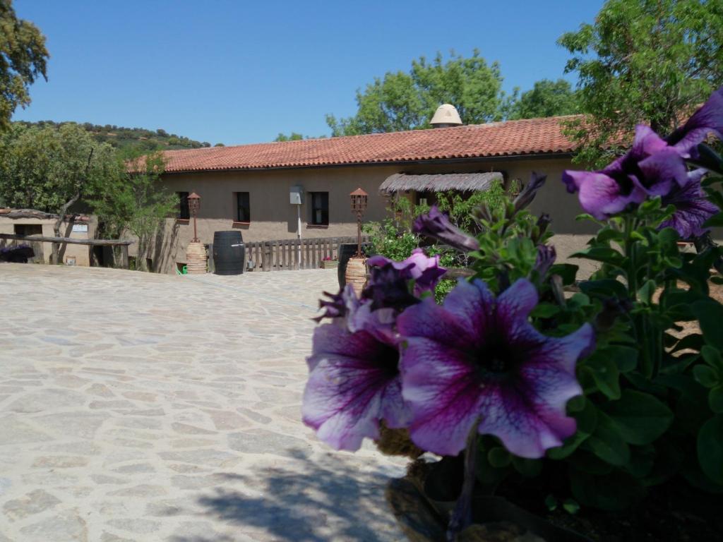 Budova, kde se the country house nachází