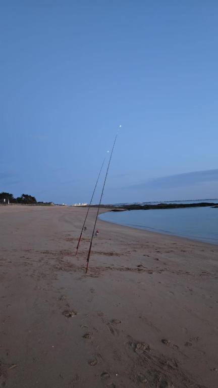ラ・テュルバルにあるDirecte plageの海を背景にしたビーチのポール