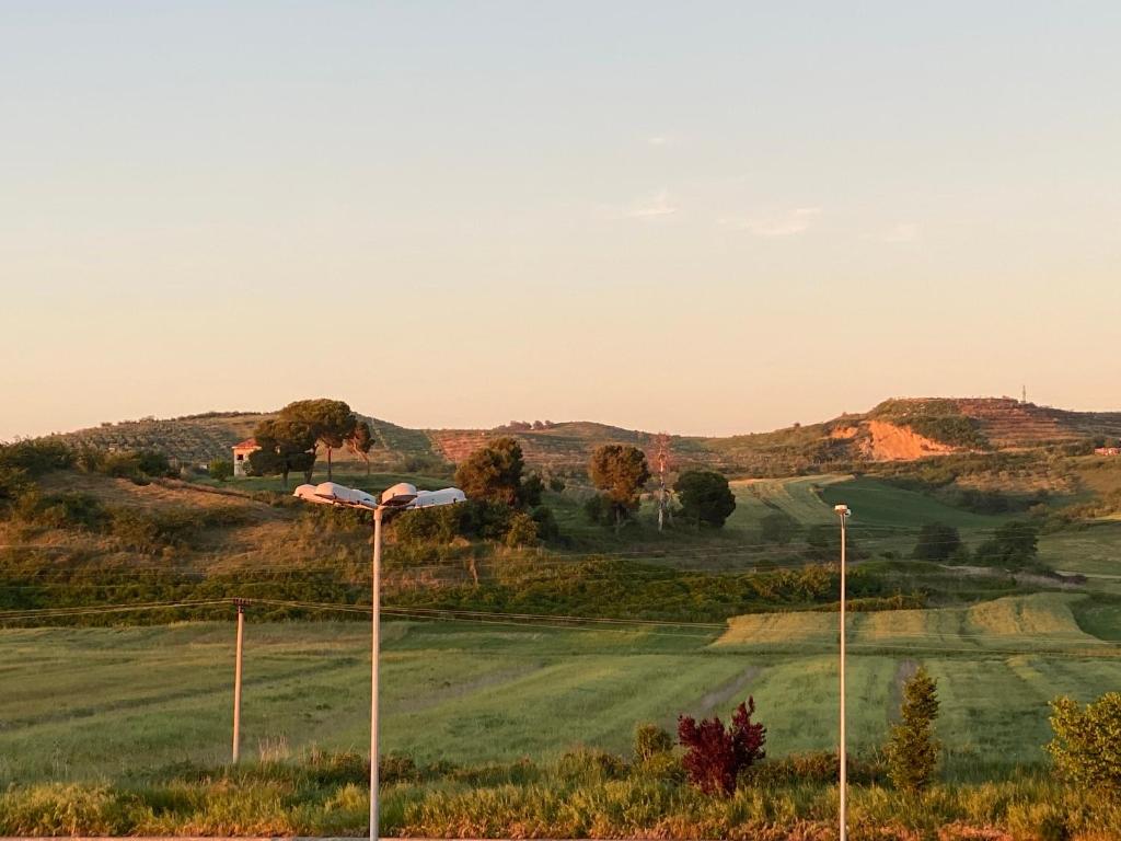 Phong cảnh thiên nhiên gần nhà khách