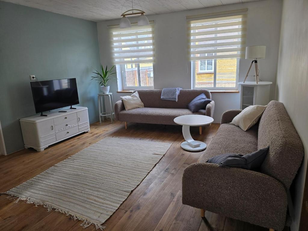 a living room with a couch and a tv at Suur-Veski apartment in Pärnu