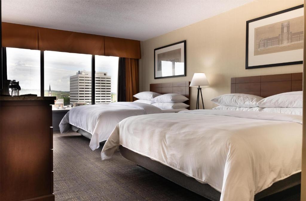 Hilton Knoxville - 