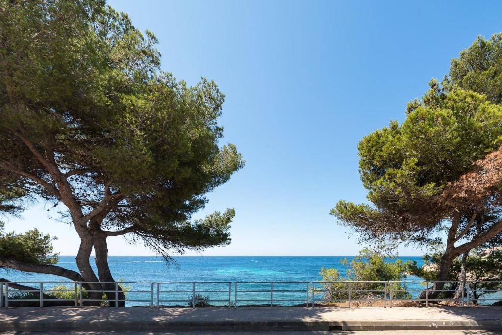 Blick auf das Meer zwischen zwei Bäumen in der Unterkunft La Corniche Bleue in Sausset-les-Pins