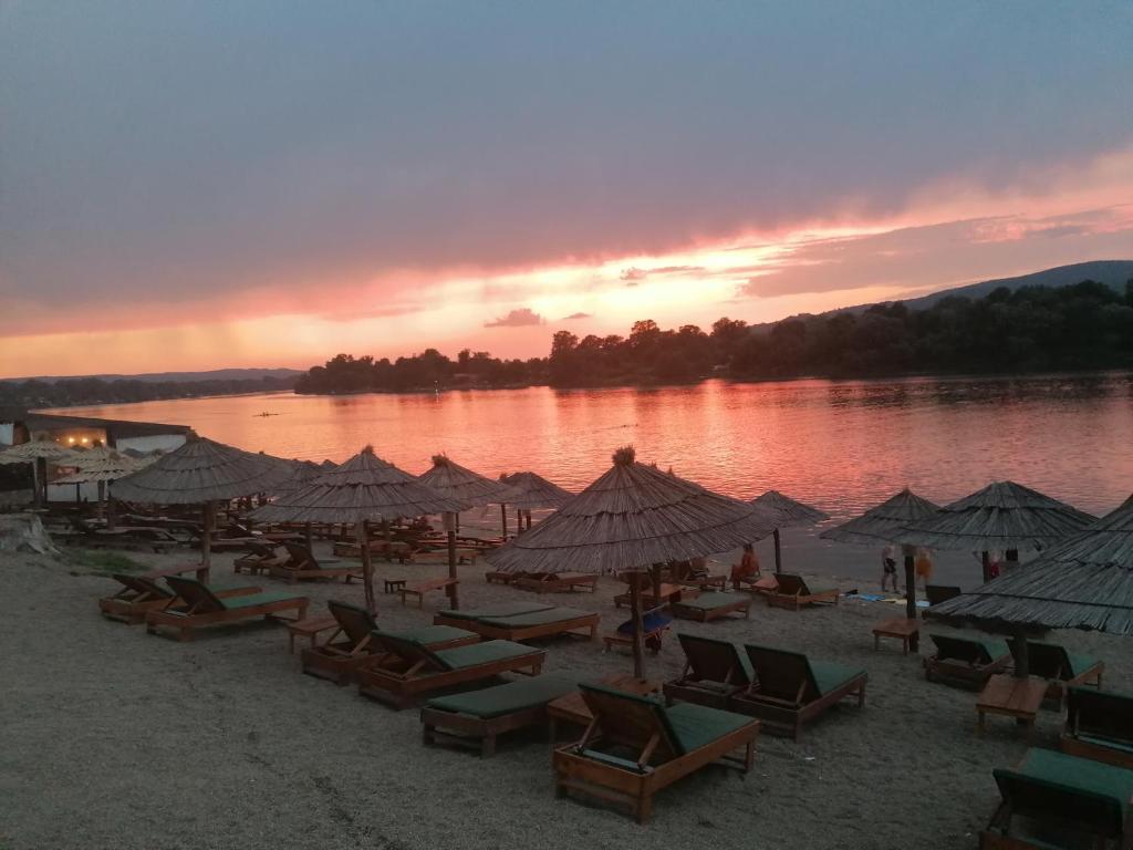 a group of beach chairs and umbrellas on a beach at Vila Konak in Veliko Gradište