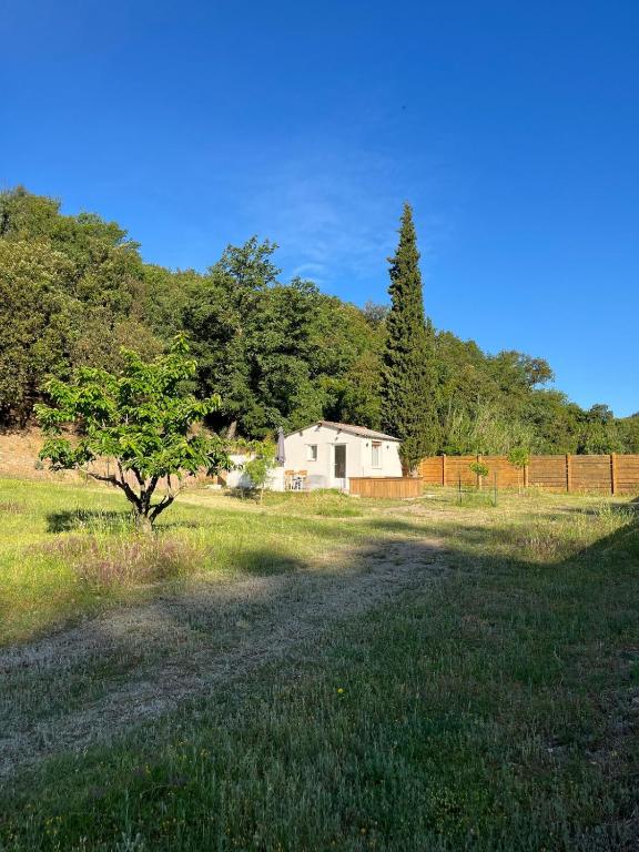 une maison au milieu d'un champ avec un arbre dans l'établissement Maisonnette cosy à la campagne, à Céret