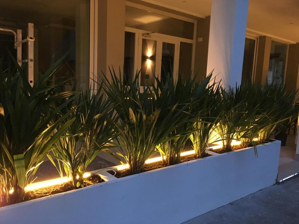 Zahrada ubytování Hotel Lux