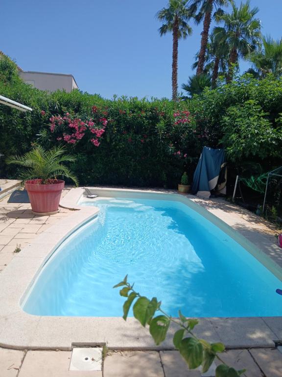 ein großer blauer Pool im Hof in der Unterkunft Etre à LEZ in Lattes