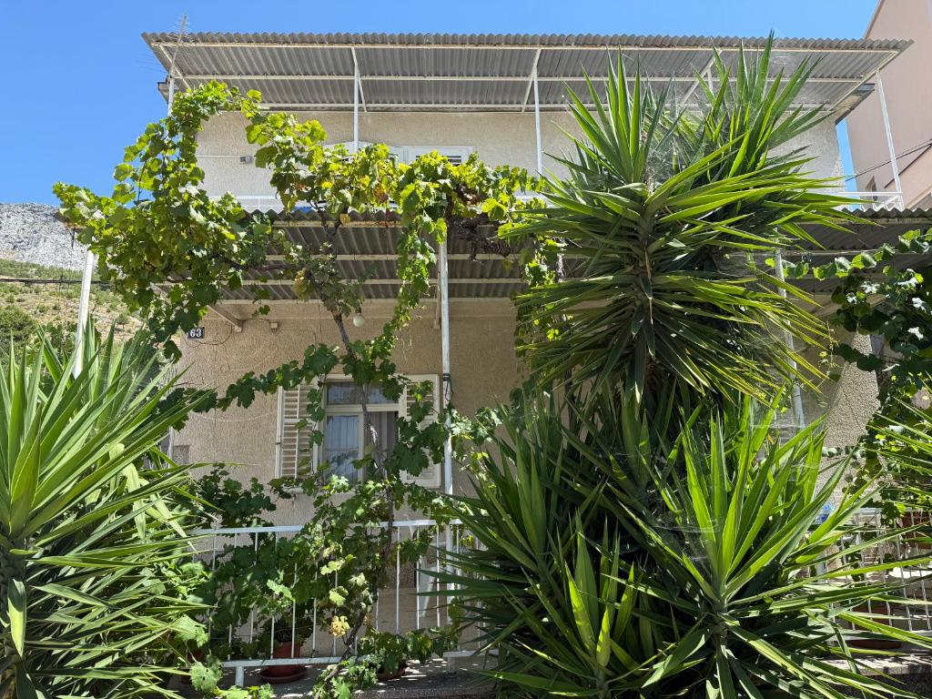 a building with palm trees in front of it at Hostel Guesthouse Mira in Omiš
