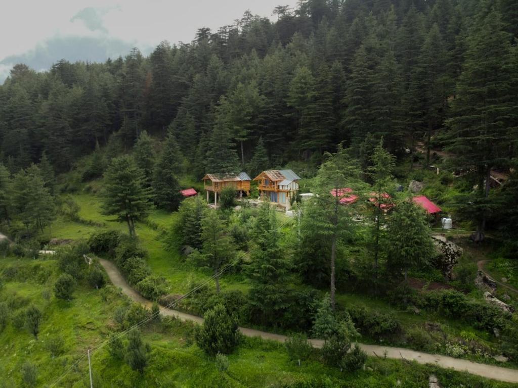 an aerial view of a house in a forest at Himalayan Cedar Nest in Sainj