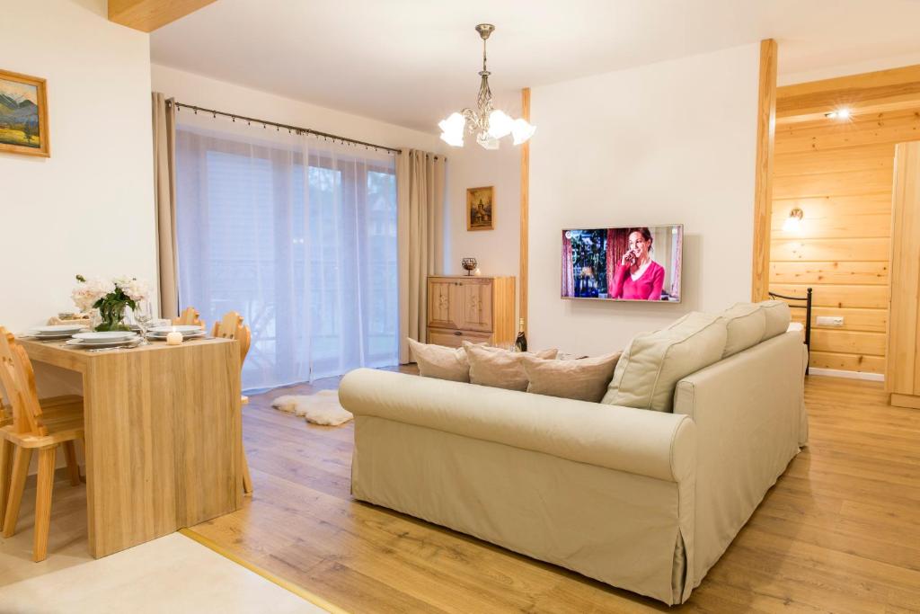 Televízia a/alebo spoločenská miestnosť v ubytovaní Zakopane Apartamenty Skibówki
