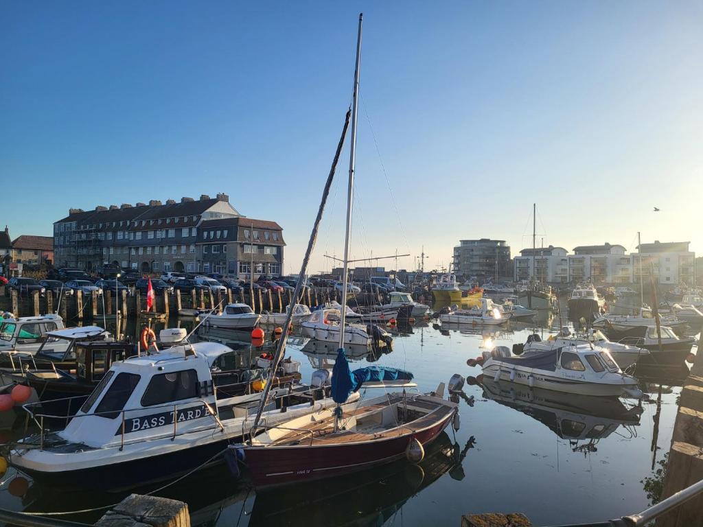 Un montón de barcos están atracados en un puerto en Fishermans Locker, en Bridport