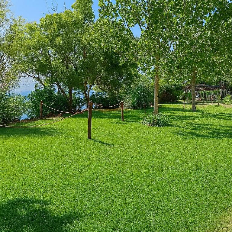 International Glamping Lago Di Bracciano - Lote Vacio