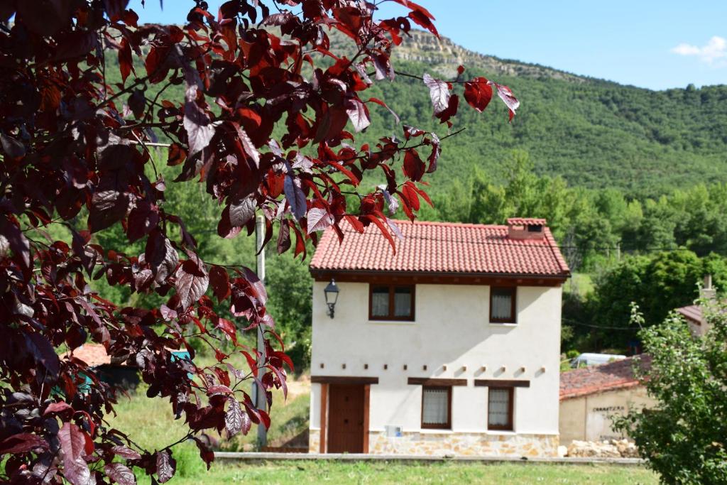 Γενική θέα στο βουνό ή θέα στο βουνό από  αυτή η παραθεριστική κατοικία