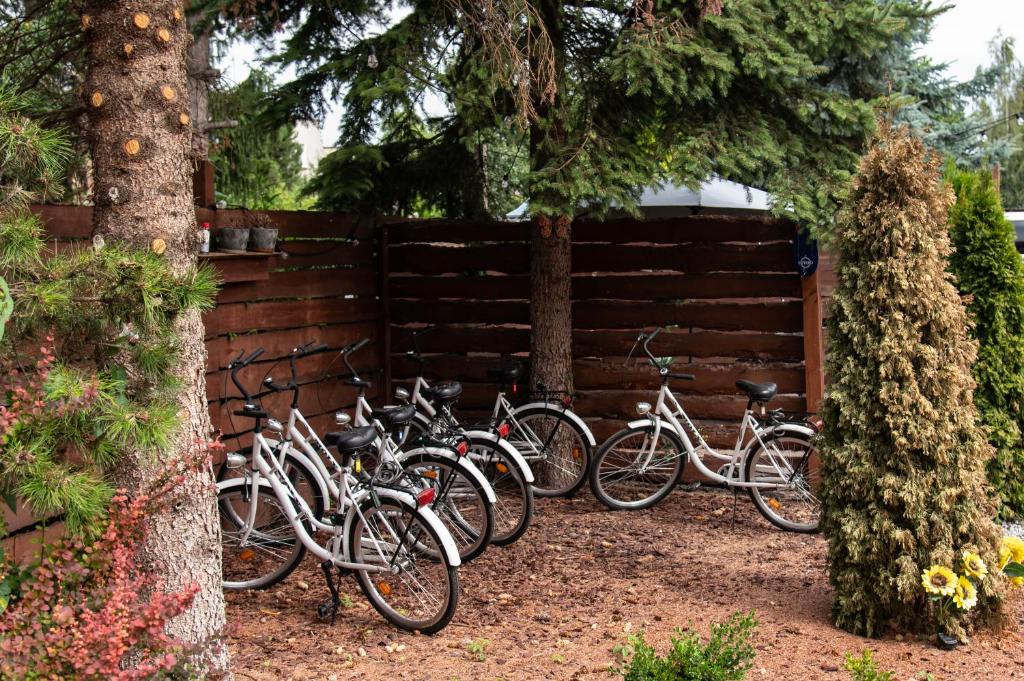 City Place Noclegi - Resim 14