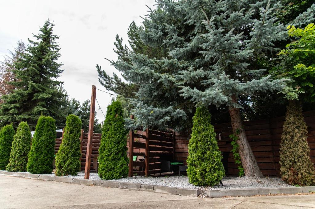 City Place Noclegi - Resim 9