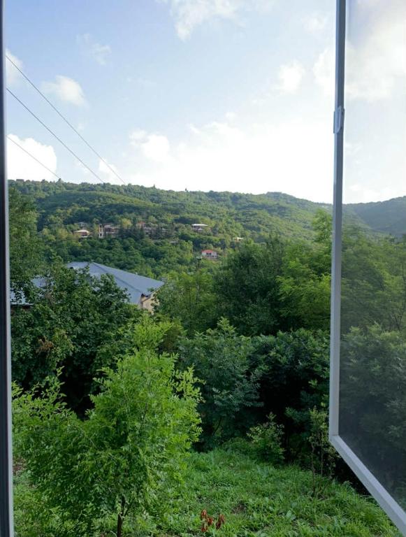 a view from a window of trees and a river at Pirosmani 66 in Sighnaghi
