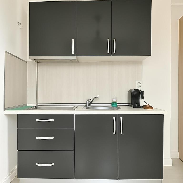 DD Apartments - Iuliu Moldovan - Resim 26