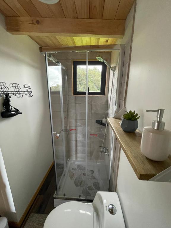 Luz de Luna Antilhue