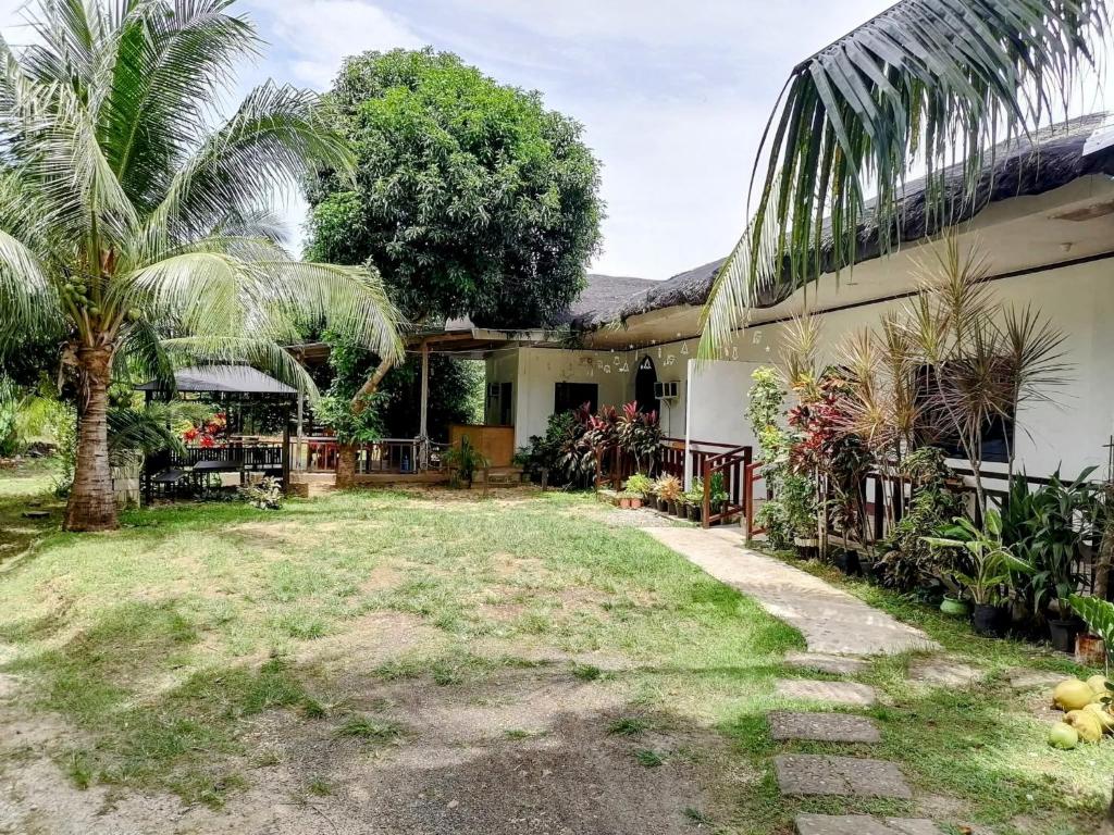 a house with a palm tree in the yard at Apo Estin homestay in Siquijor