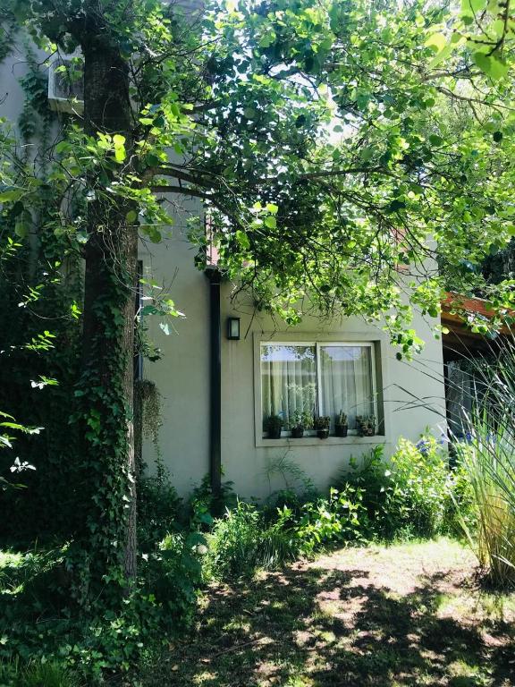 El Remanso Chascomus