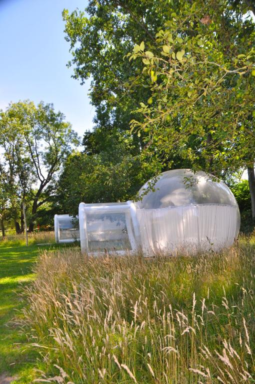 Un jardín fuera de Noortweghe GLAMPING