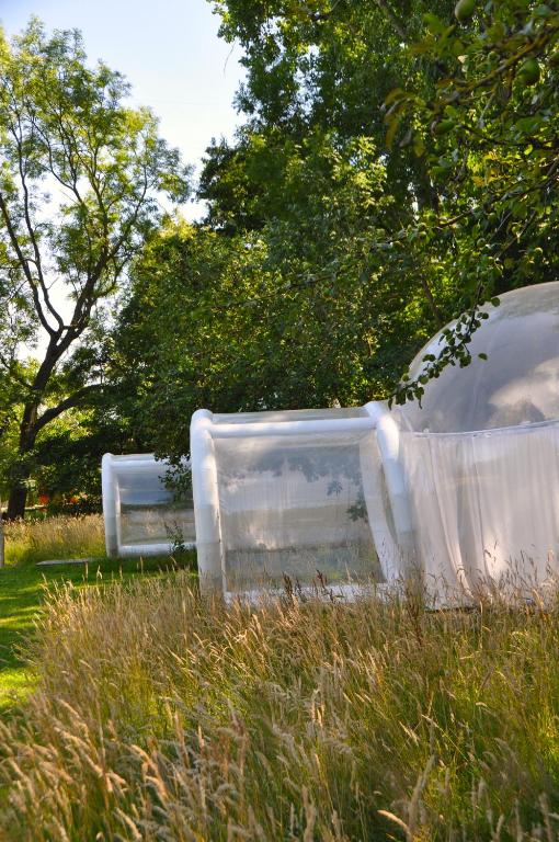 two containers sitting in the grass in a field at Noortweghe GLAMPING in Zedelgem