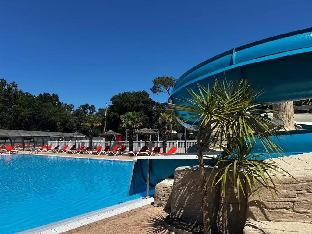 - une piscine bordée de chaises et d'un palmier dans l'établissement Kabana Village, à Saint-Hilaire-de-Riez