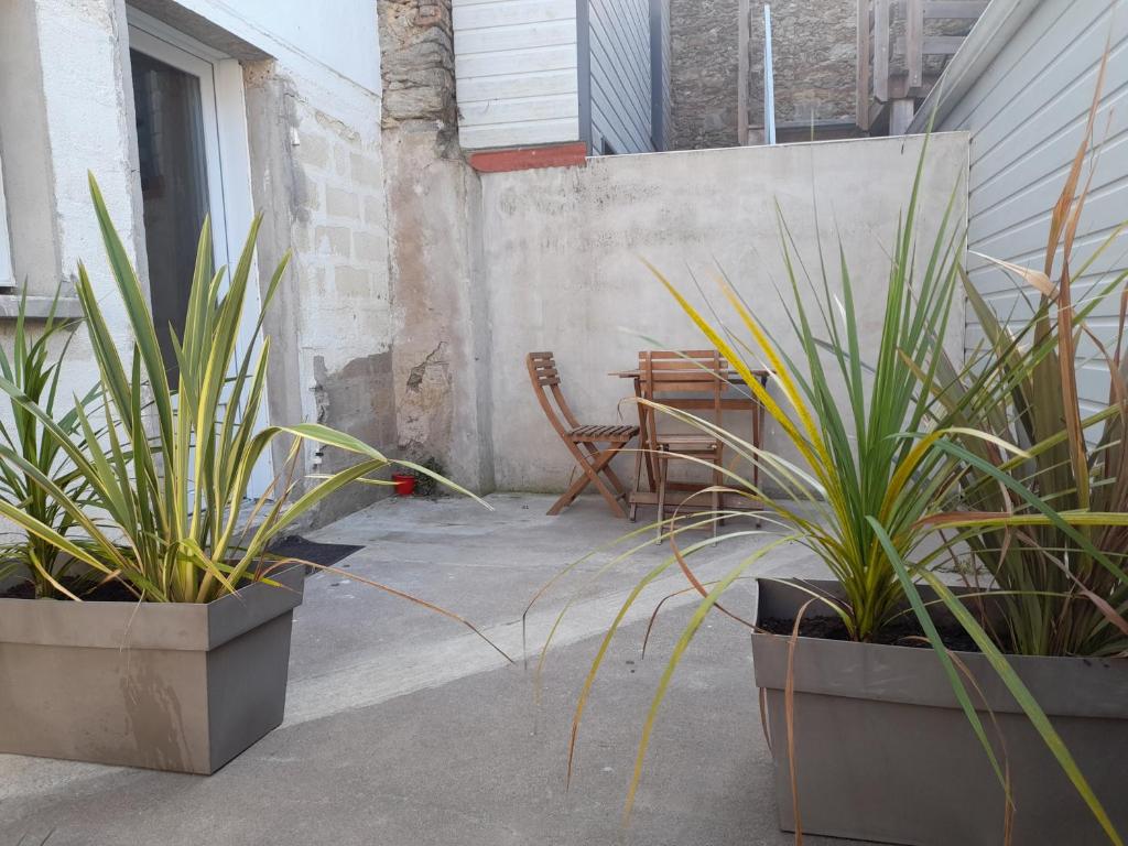 a patio with two potted plants and a chair at Coeur de Bourg La Garnache Studio in La Garnache