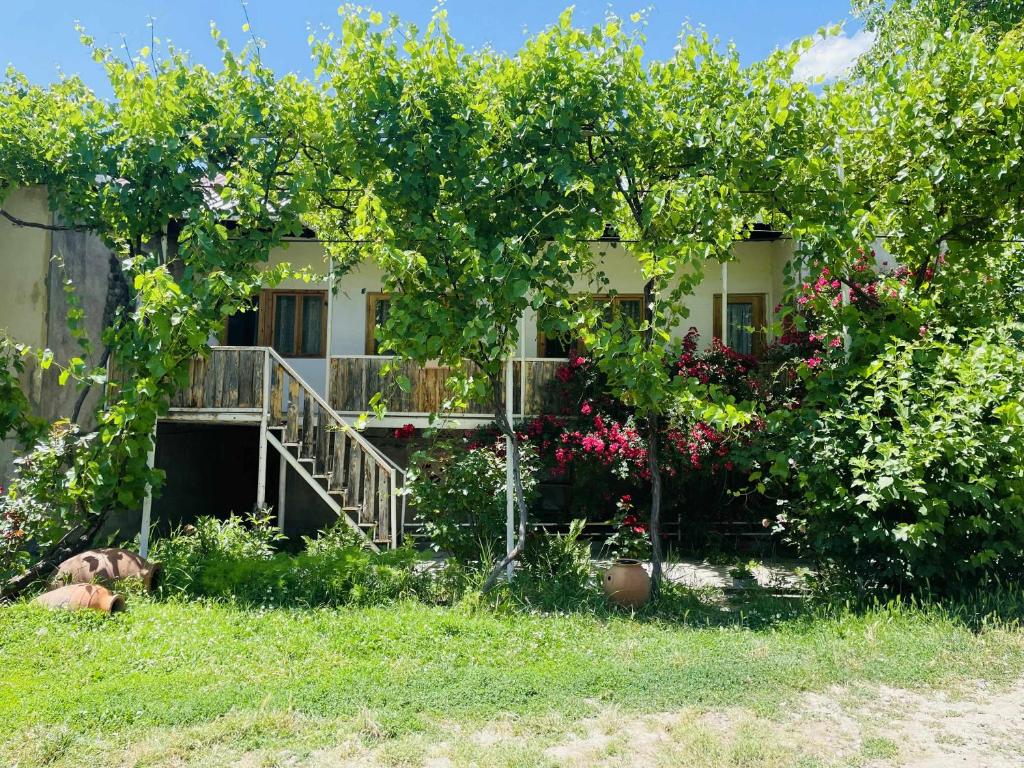 Garður fyrir utan Guest House Aleksandre