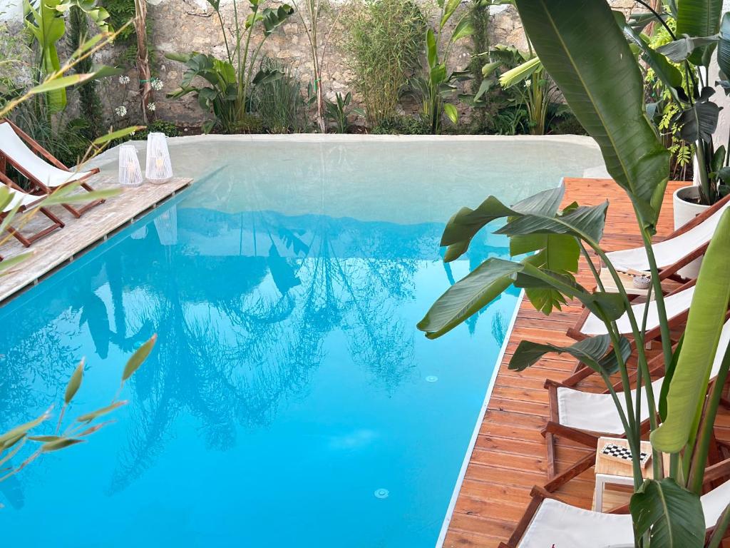 Πισίνα στο ή κοντά στο Casa Palma Boutique Hotel