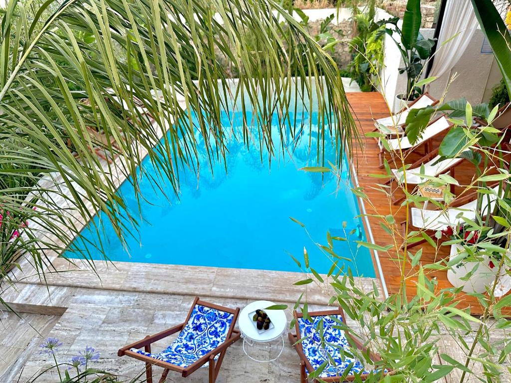 twee stoelen en een blauw zwembad in een tuin bij Casa Palma Boutique Hotel in Vlorë