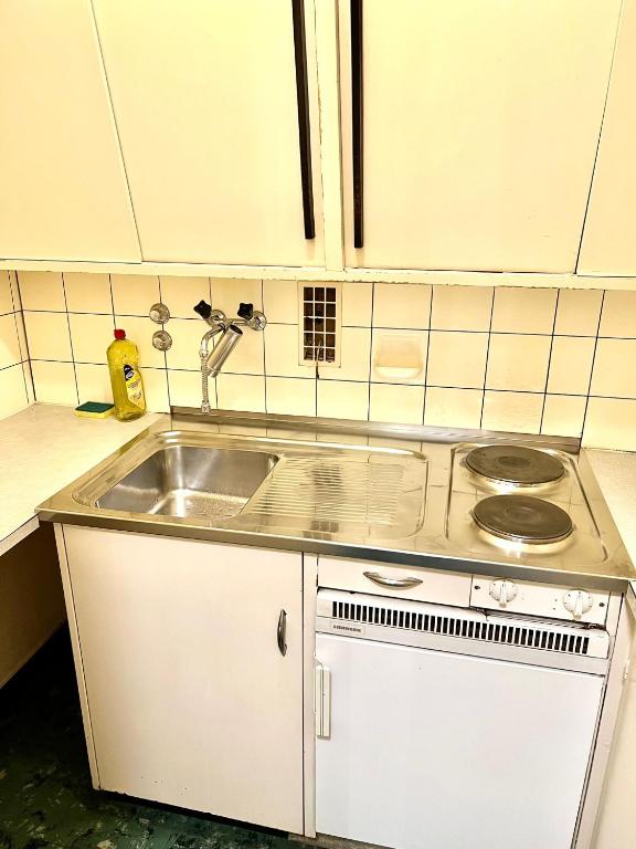 Downtown Flats, Lake Lucerne - Resim 17