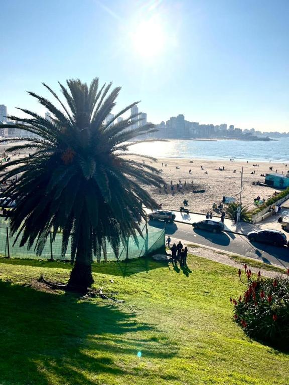 a palm tree on a beach with people walking at Alsina Mdq in Mar del Plata