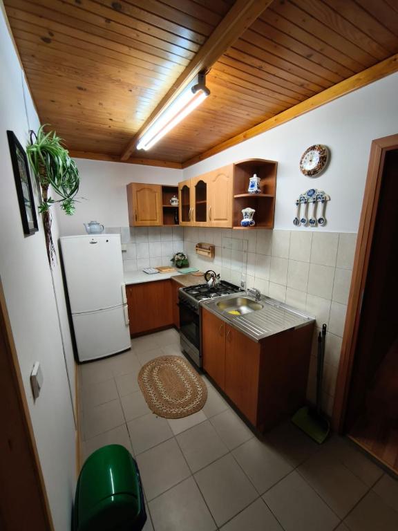 a small kitchen with a refrigerator and a stove at Noclegi pod Witowem in Niedźwiedź